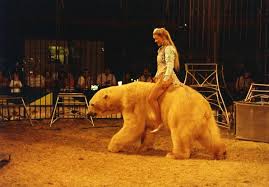 AMANDA WITH POLAR BEAR